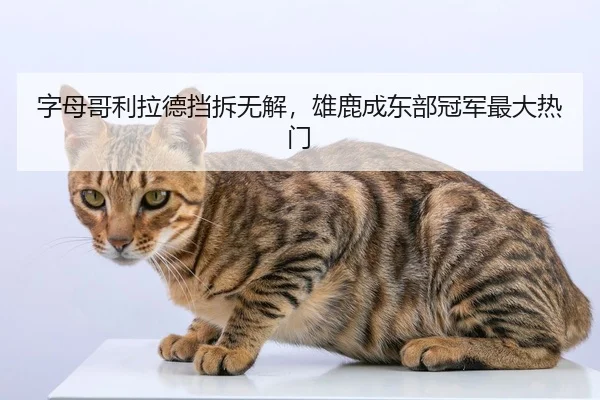 zi-mu-ge-li-la-de-dang-chai-wu-jie-xiong-lu-cheng-dong-bu-guan-jun-zui-da-re-men-2-516.jpg