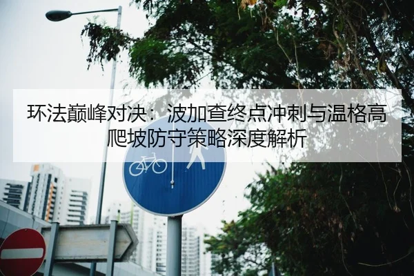 环法巅峰对决：波加查终点冲刺与温格高爬坡防守策略深度解析