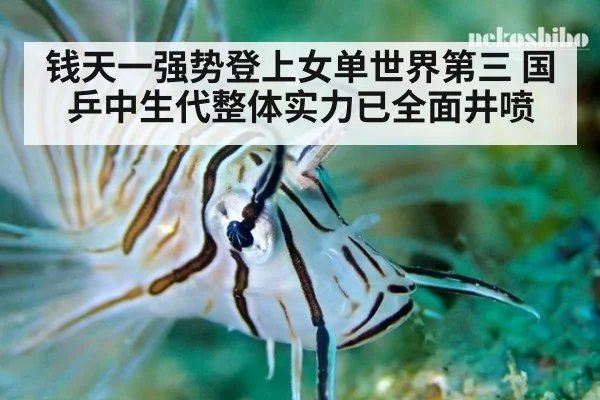 钱天一强势登上女单世界第三 国乒中生代整体实力已全面井喷